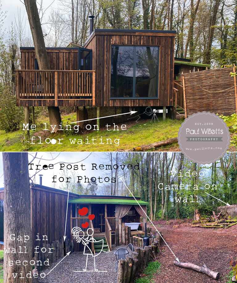 Proposal Photography